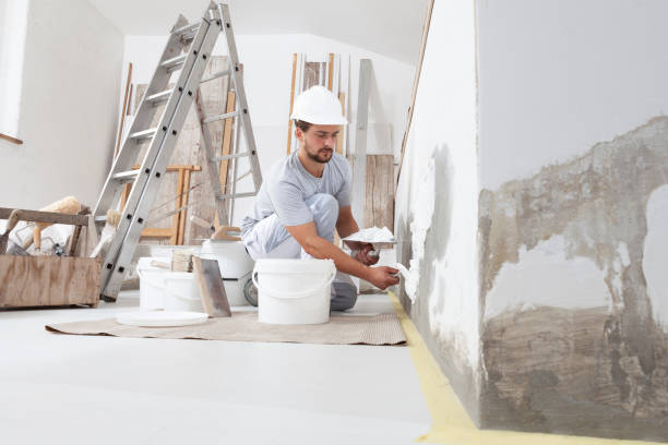 Best Basement Mold Removal  in Noyack, NY